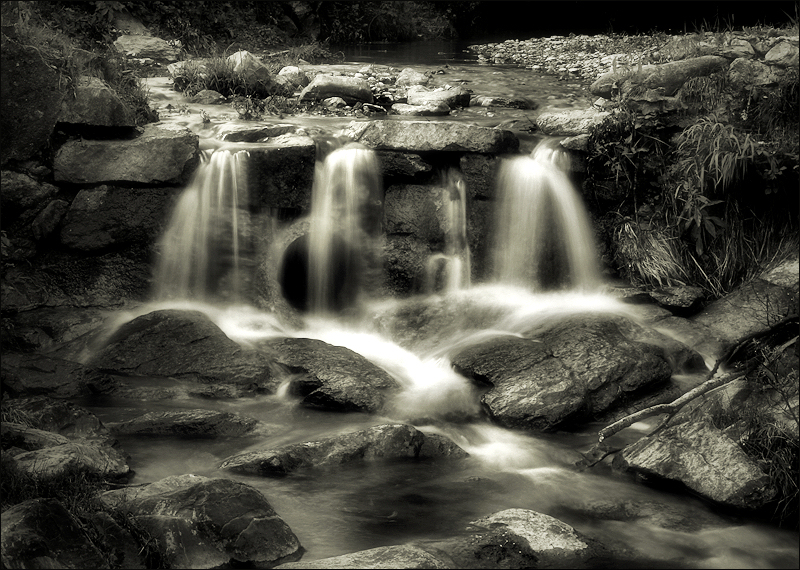 cool black and white pictures of nature. 2 de July de 2008 : Nature,