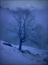 day's last light - darrera llum del dia - ultima luz del dia