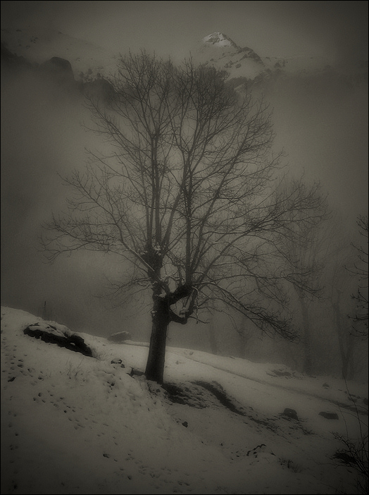 day’s last light