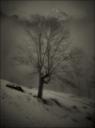 day’s last light