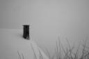 under the snow / sota la neu