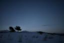 z-2009-01-13-246a.thumbnail.jpg