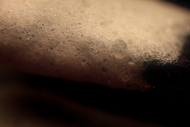 Macro with inverted lens… (matches)