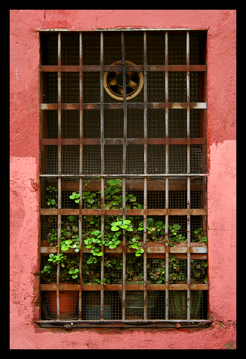 a view from a window