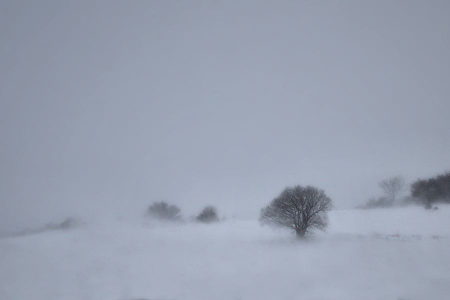 Solitude during the storm