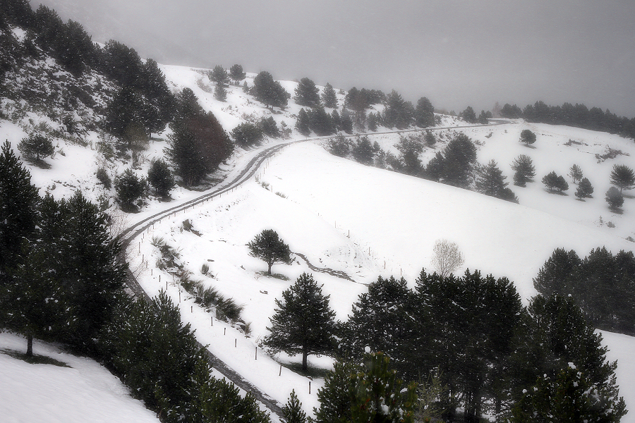 de camí al torb