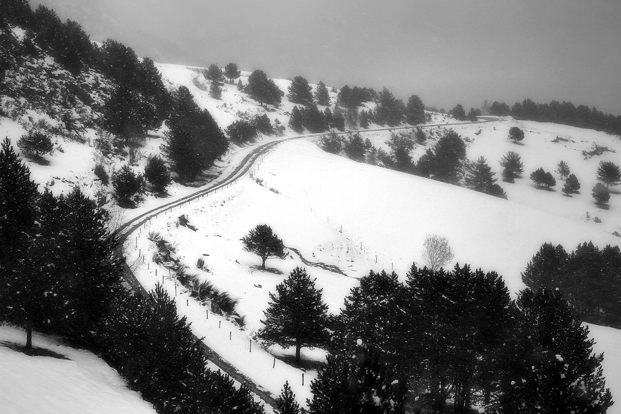 de camí al torb