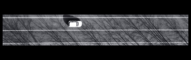 The route …like a bird