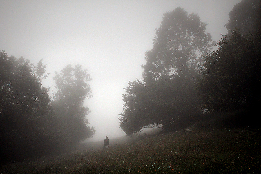 on fog / emboirada