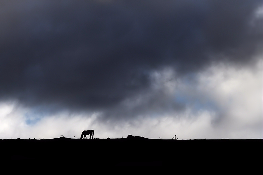 a calm before the storm / una calma abans de la tormenta