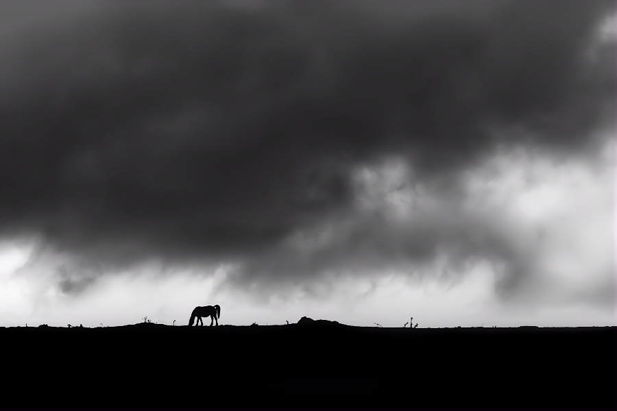 a calm before the storm / una calma abans de la tormenta