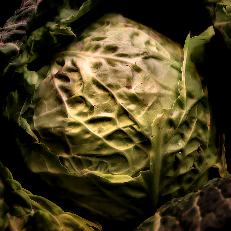 cabbage