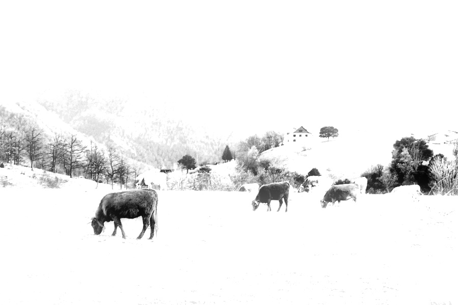 A winter landscape / Paisatge d'un hivern