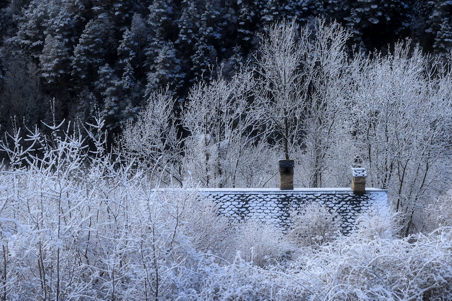 house surrounded by nature / la caseta enmig de la natura