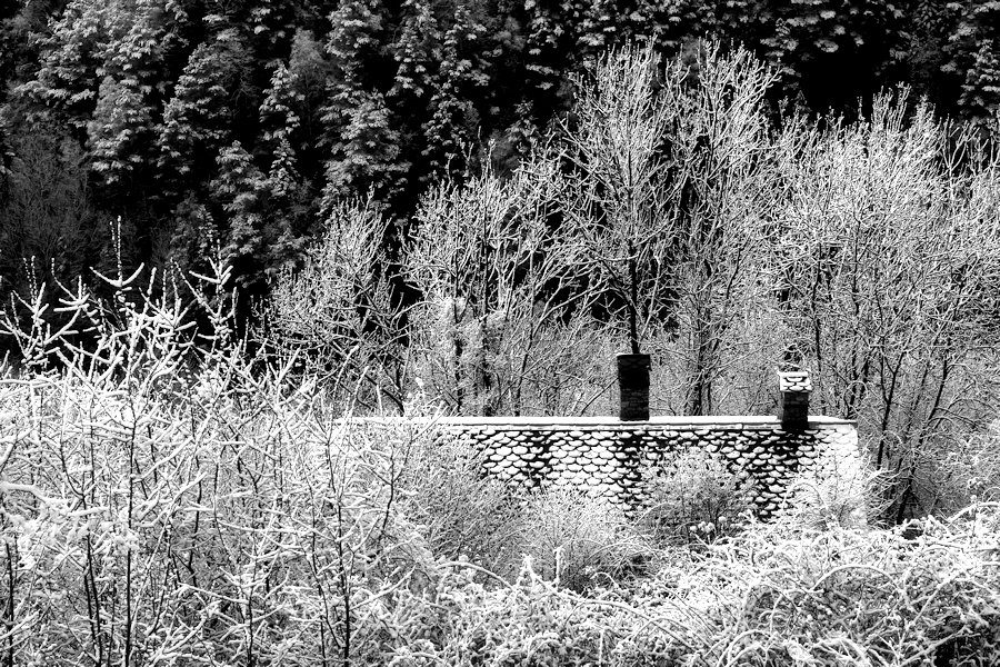 house surrounded by nature / la caseta enmig de la natura