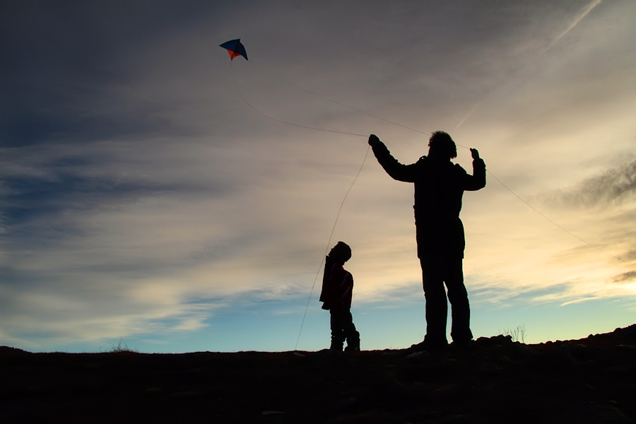 the kite / l'estel