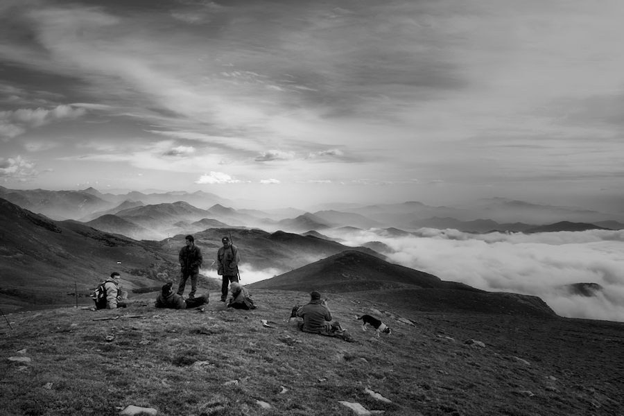 morning hunt / matí de cacera