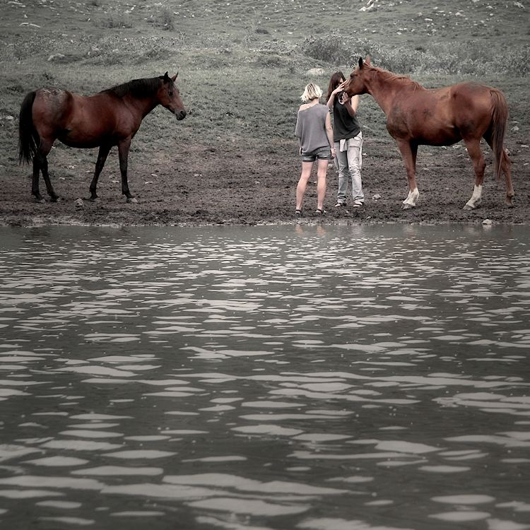 d'un dia amb les eugues / a day with mares