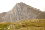 Monte Tremoggia, Monte Camicia e camoscio