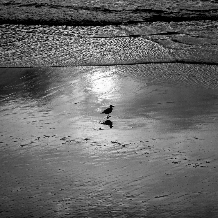 the beach / la platja