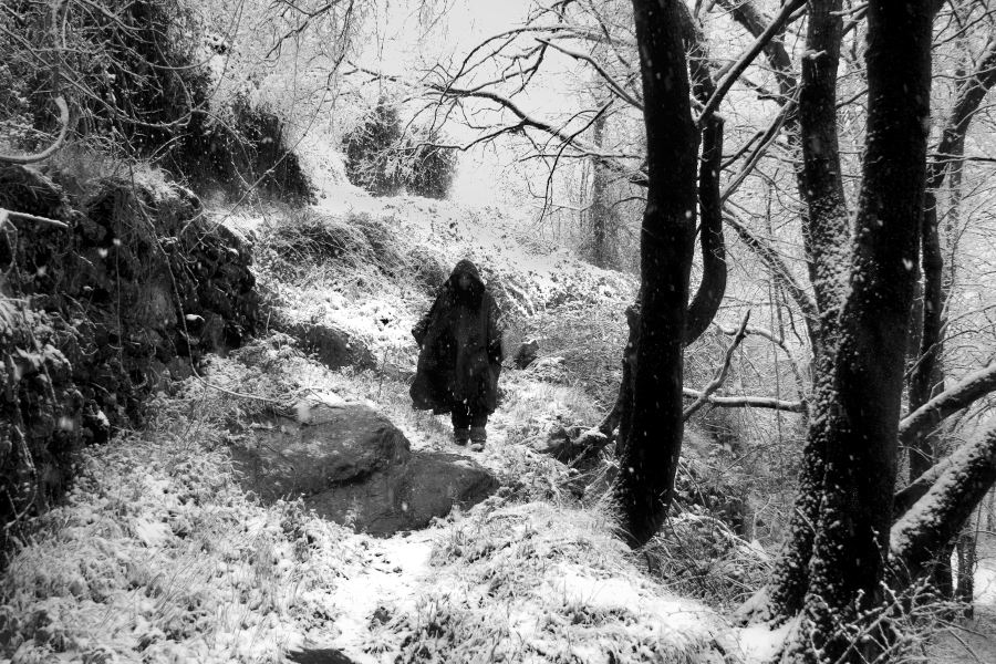 those snowfalls in the spring / d'aquelles nevades a la primavera