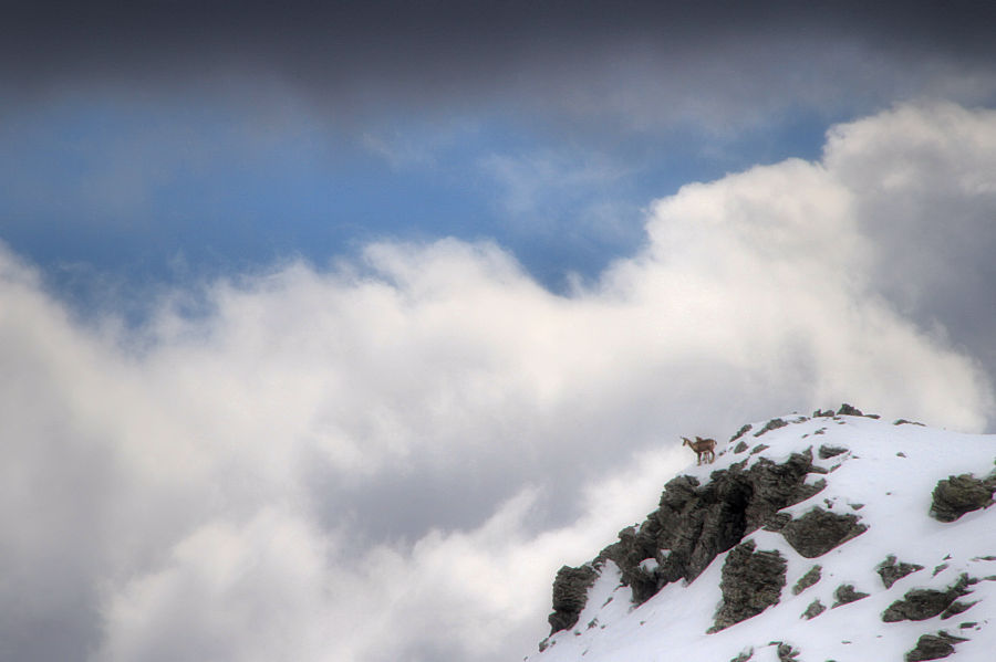 inhabitants of the clouds / els habitants dels núvols