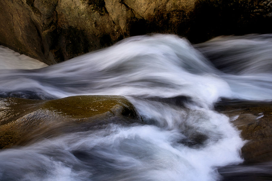 spring's force / la força de la primavera