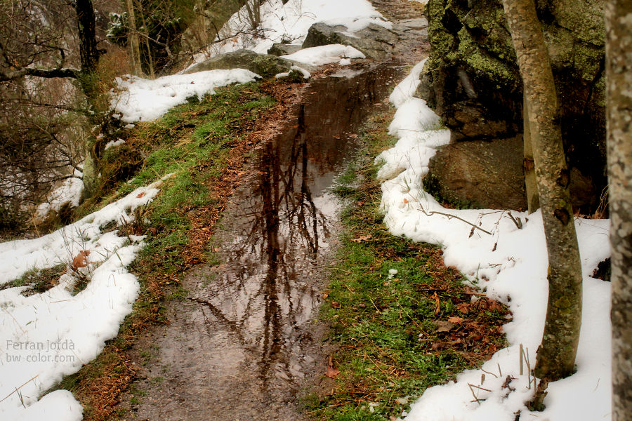the path after rain / el camí després de la pluja