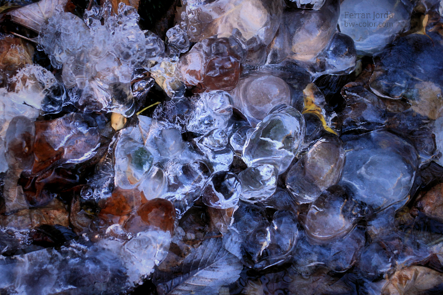 pearls of the frozen ground / les perles del terra glaçat