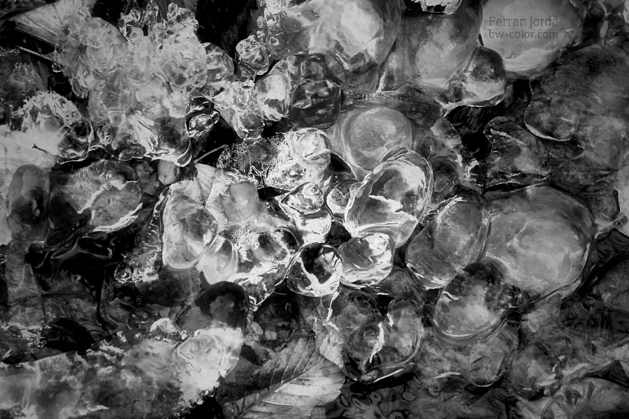 pearls of the frozen ground / les perles del terra glaçat
