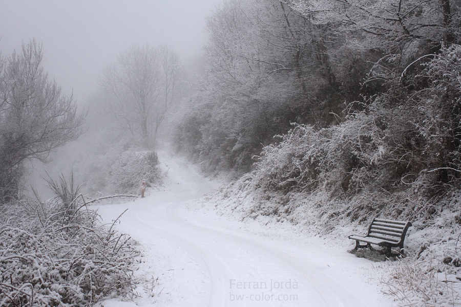 a street in nature / un carrer a la natura