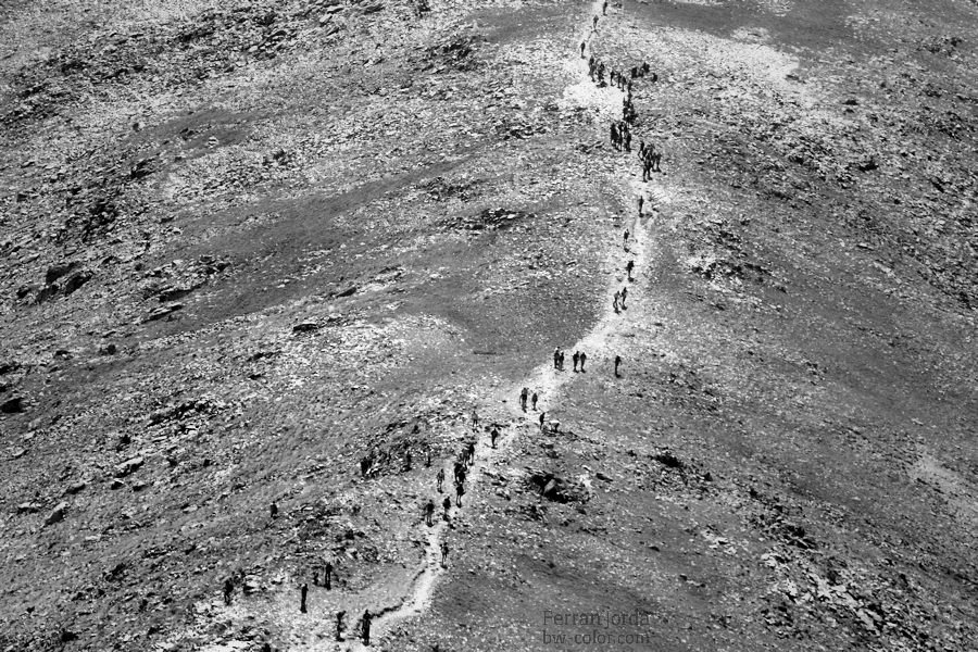 .the hikers.