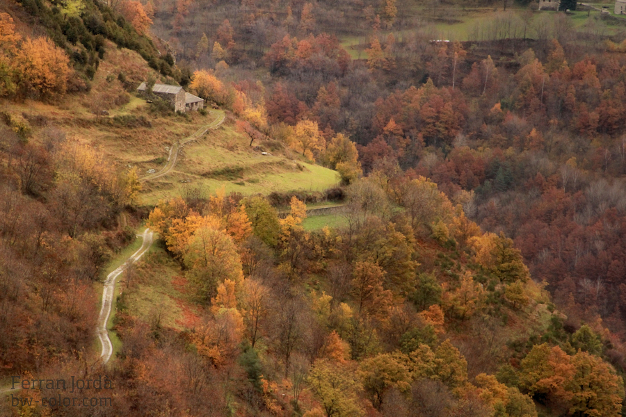 Camí de la font del Coronel