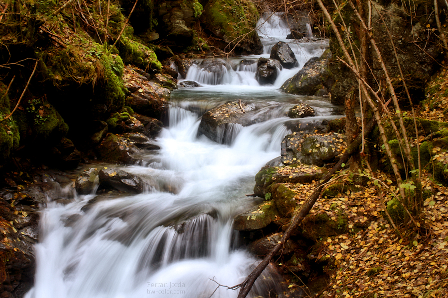 autumn pictures / imatges de tardor