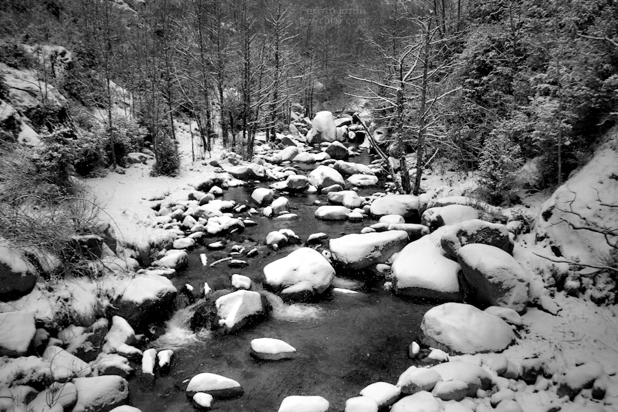 when it's winter on the river / de quan és hivern al riu