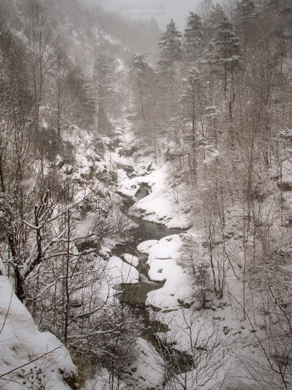 that little valley / aquella petita vall