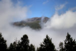 Bosc, núvols i darrera, la muntanya