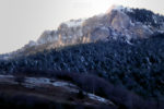 mountain, forest... and a little bit of snow