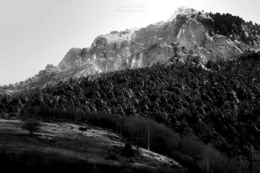 mountain, forest... and a little bit of snow