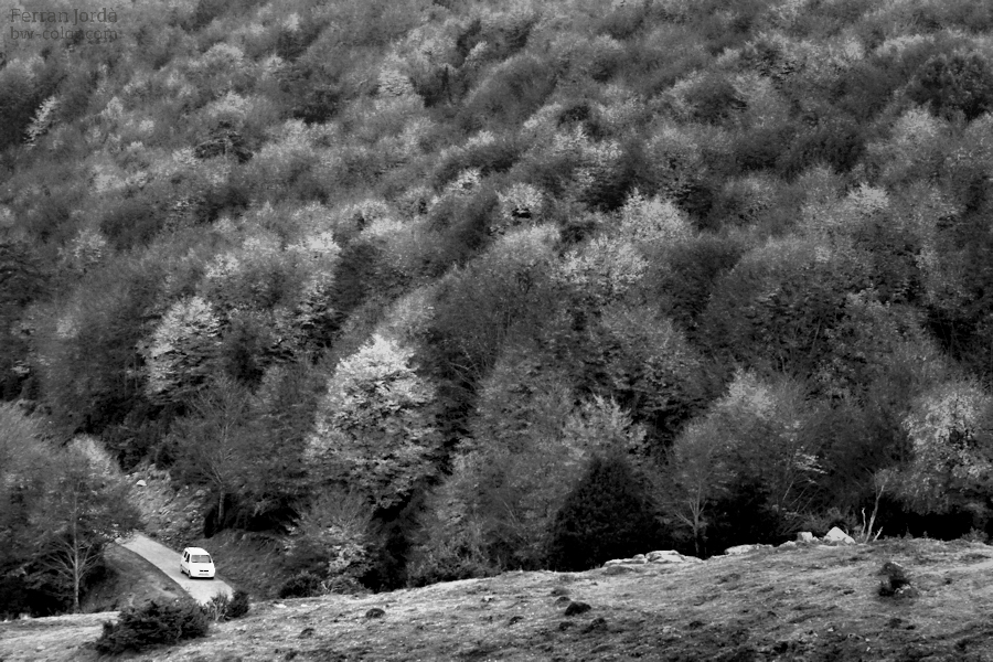 autumn sundays / diumenges de tardor