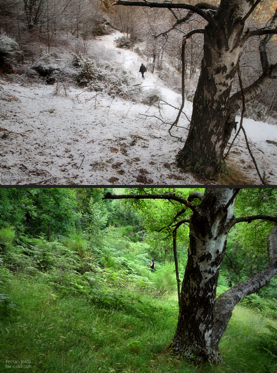 winter and summer / hivern i estiu