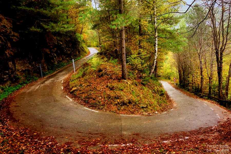 autumn road / carretera de tardor