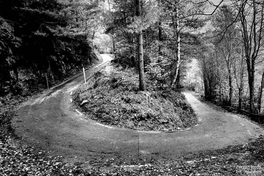 autumn road / carretera de tardor