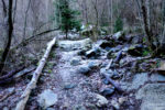 a small bridge / un petit pont