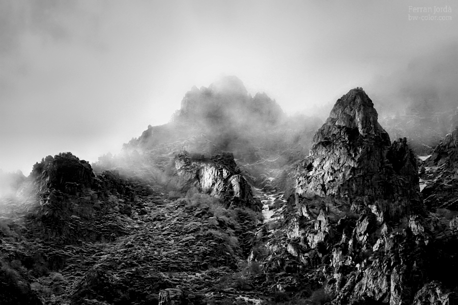 rocks, fog and light / roques, boira i llum