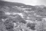 landscape just after the snowfall / paisatge després de la nevada