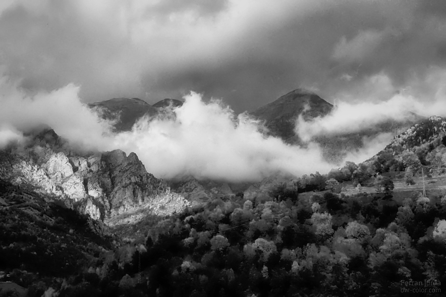 about rainy autumn days / de dies plujosos de tardor