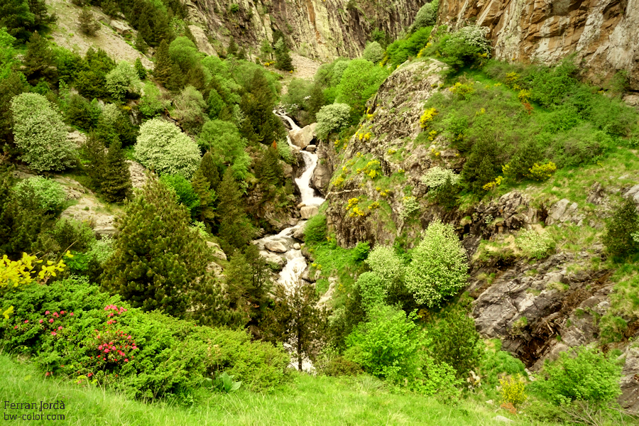 Primavera al riu de Núria