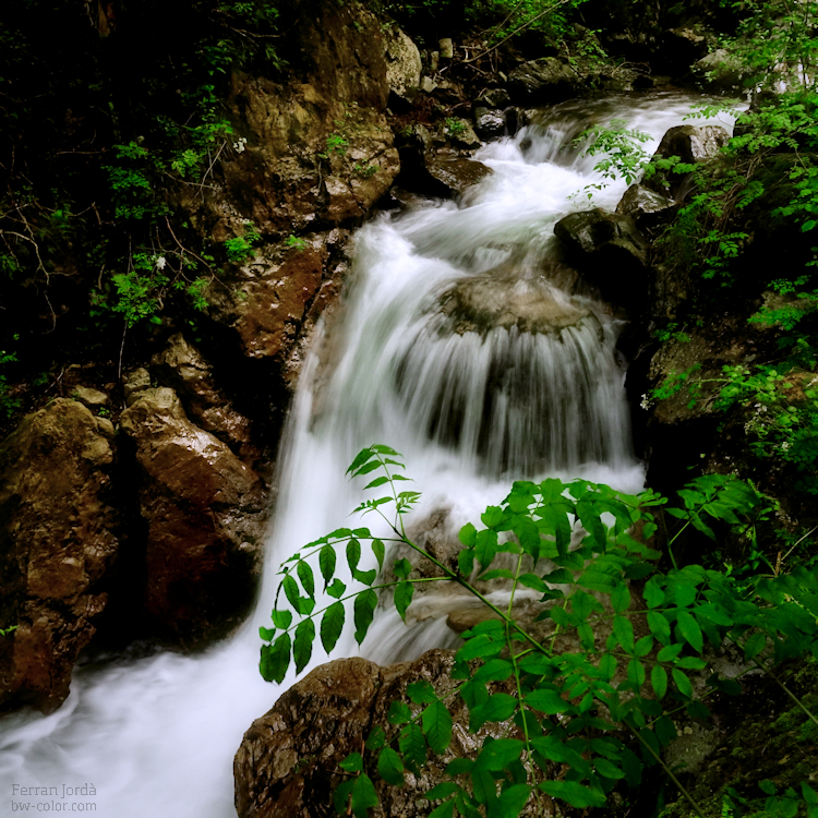 Petit salt d'aigua / Little waterfall