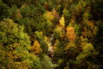 waterfall in autumn / salt d'aigua a la tardor